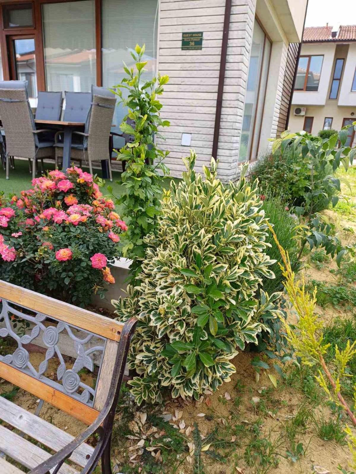 Lighthouse 3 Bedrooms Villa F36 Baltsjik Eksteriør bilde